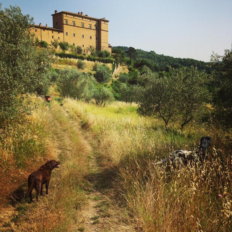 Seggiano Castello Di Potentino מראה חיצוני תמונה